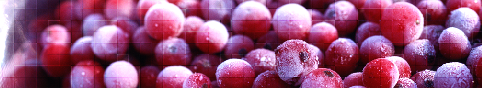 Fruits